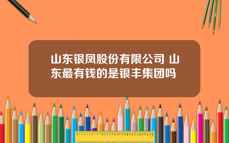 山东银凤股份有限公司 山东最有钱的是银丰集团吗